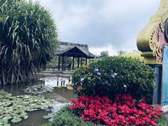 -中国科学院西双版纳热带植物园