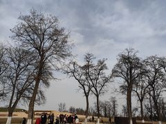 -汉长安城未央宫国家考古遗址公园