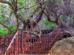 -七仙岭温泉国家森林公园