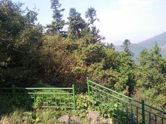 -莫干山大坑景区-停车场