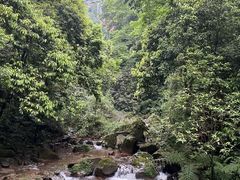 -赤水丹霞旅游区·佛光岩