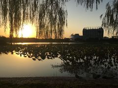 -东华大学(松江校区)