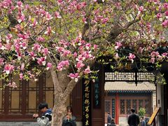 -万寿八仙宫