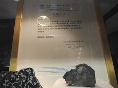 -志强陨石馆(双季花艺店)