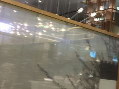 -眉州东坡(上海中心店)
