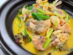 黄焖小白鲨-饭怕鱼·黄焖鲟龙鱼(湖大店)