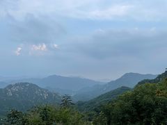 -大岭沟猕猴桃谷风景区