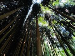-太阳湾风景区