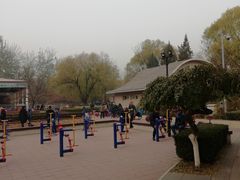 -康庄公园