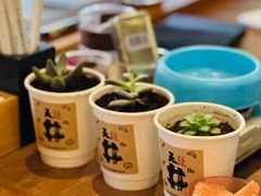 -天井·丑面包搭咖啡