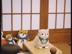 -豆柴町-柴犬主题狗咖(红鼎国际C座店)