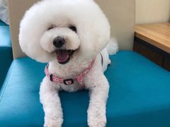 -美联众合动物医院·24h京西诊疗中心