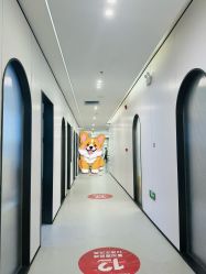 体验前-壹加壹医疗美容·轻医美·美容外科