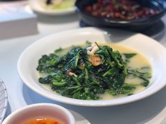 上汤豆苗-悦景酒家(罗湖店)