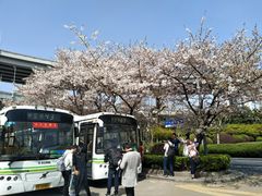 -上海南浦大桥长途旅游客运站