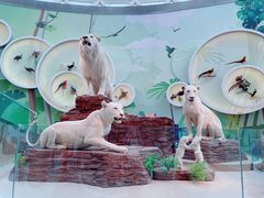 -陕西自然博物馆