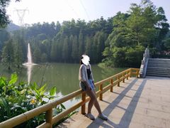-广州市帽峰山景区