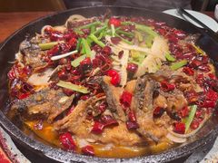 -老板恋上鱼(印象城店)