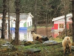 -硗碛藏寨·神木垒景区