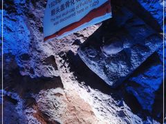 -周口店北京人遗址公园