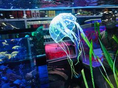 -三旗百汇商品城