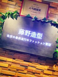 点击看大图 -藤野造型