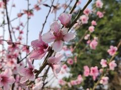 -乌山风景区