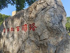 -洛阳市牡丹公园