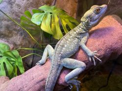 -酷嗒动物文化乐园(cutezoo西溪乐天城店)