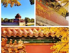 -故宫博物院(故宫)