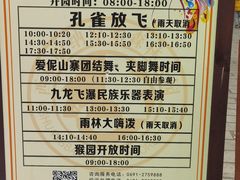 -西双版纳原始森林公园