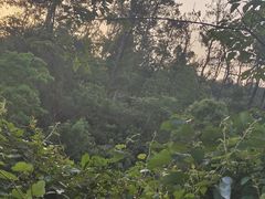 -青龙山国家森林公园