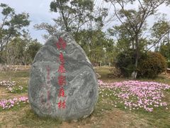 -呈贡滇池生态湿地公园