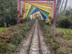 -合肥滨湖国家森林公园