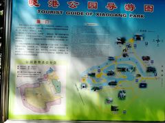 -晓港公园