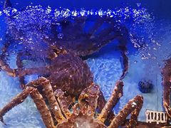-阿伟海鲜楼·福建菜(延寿店)