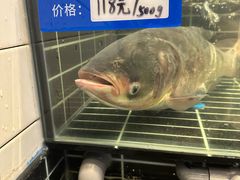 -桃园农庄烤全羊(江秋路店)