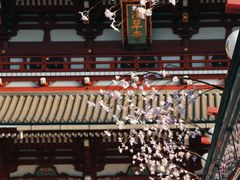 -浅草寺