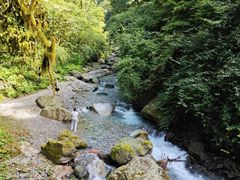 -西岭雪山大飞水景区