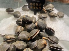 -上宴精品海鲜姿造(晶融汇旗舰店)