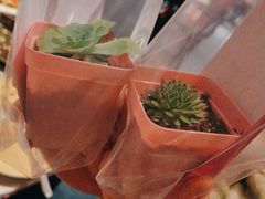 -墨纪Mojí墨西哥餐厅(官舍店)