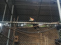 -清迈夜间动物园