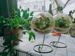 -三圣花乡旅游区