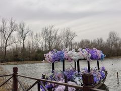 -溱湖国家湿地公园