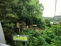 -广州长隆野生动物世界