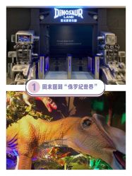 -恐龙探索乐园(磁器口店)