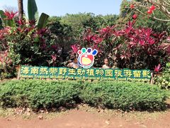 -海南热带野生动植物园