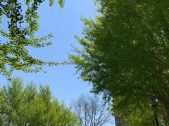 -玲珑塔公园