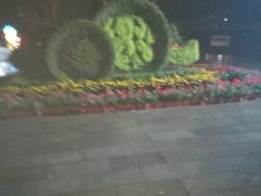 -燕鸣岛