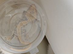 -酷以爬仙阁实体爬宠店·守宫·蜥蜴·专业繁育